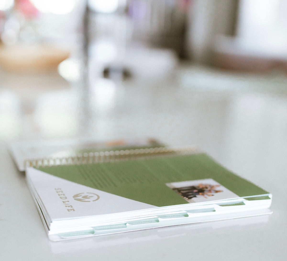 Meals on the Move Cookbook- VOLUME 2