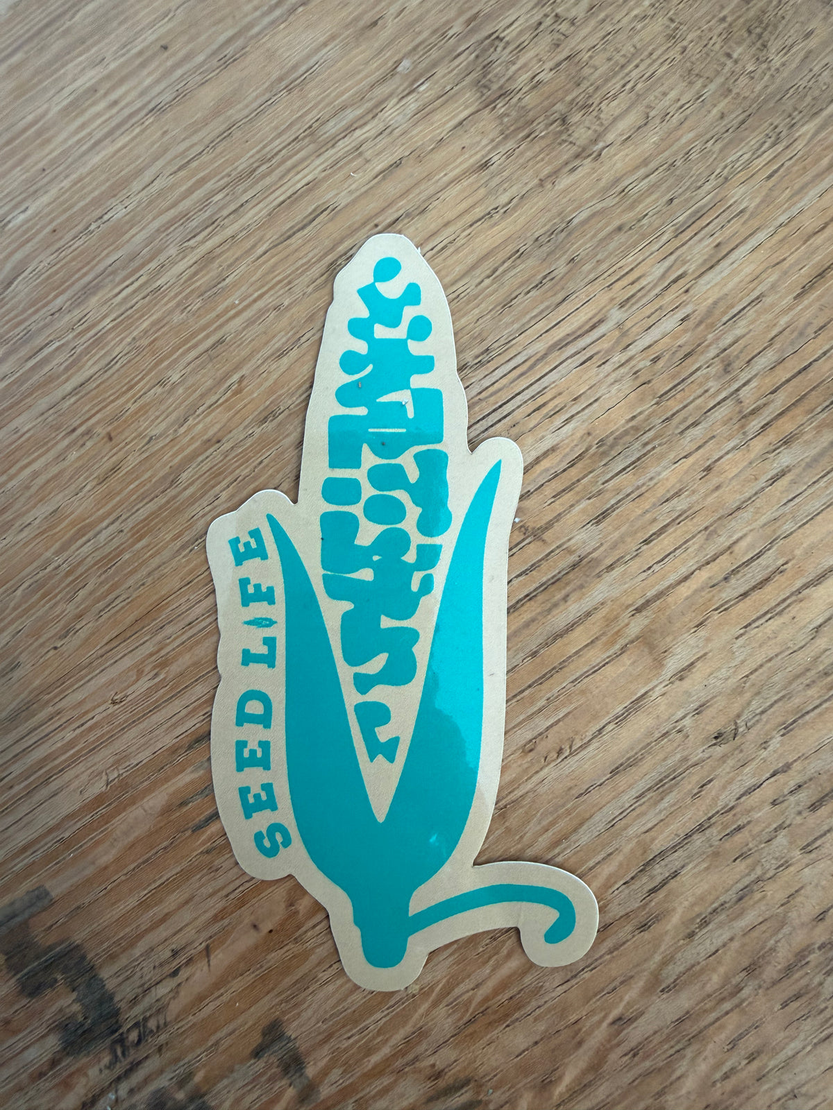 Seed Life Sticker