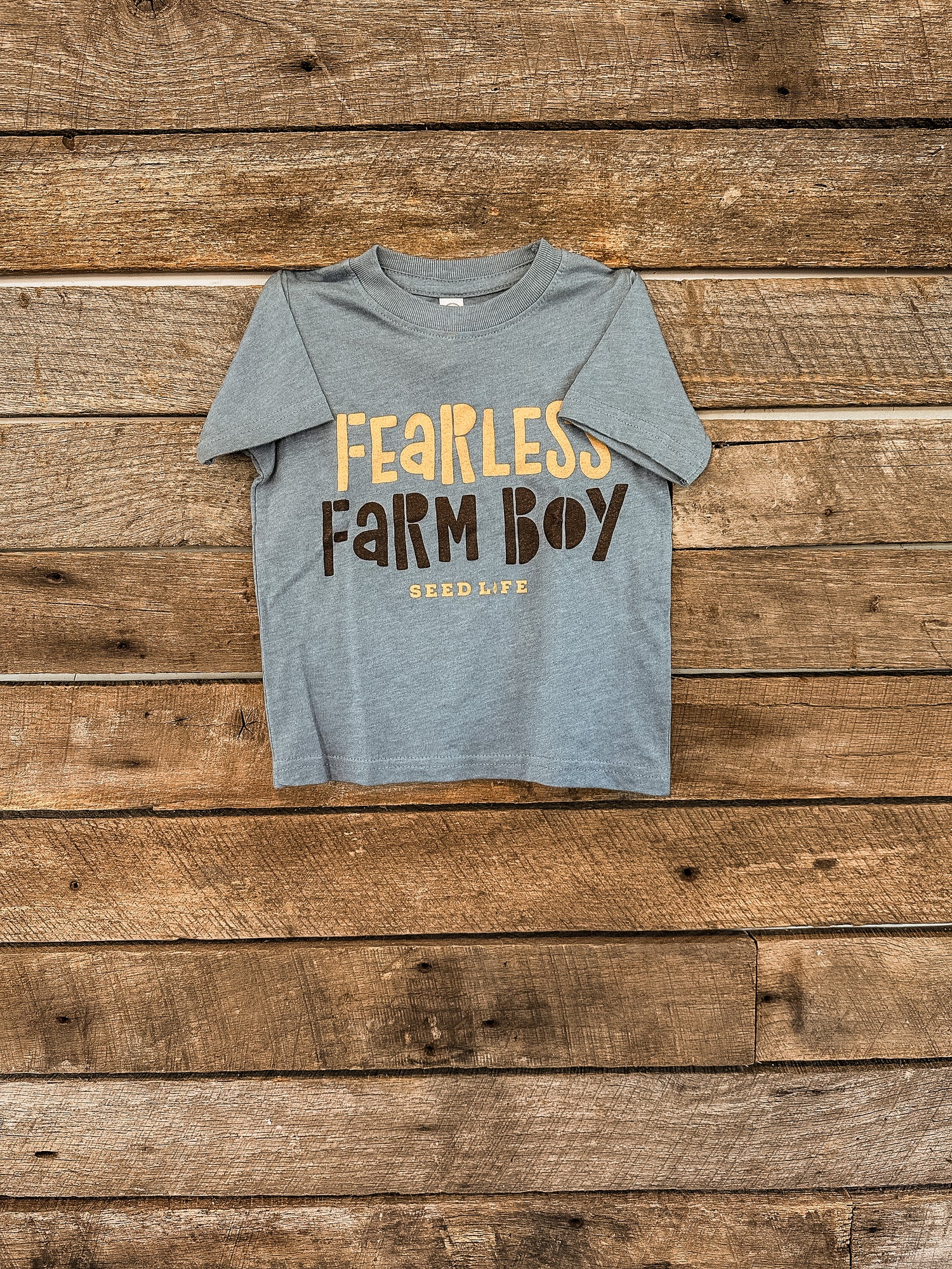 Fearless Farm Boy